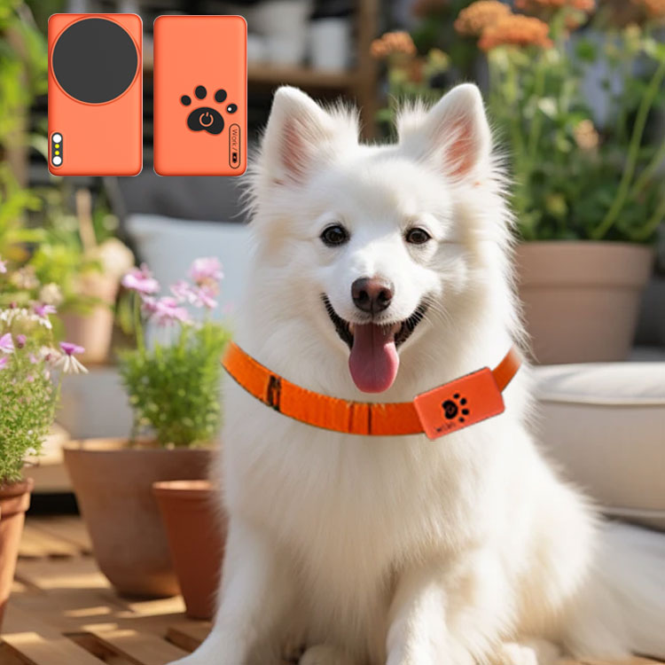 AI Wearable Pet Health Monitor – Breath Rate Monitor Bewertung und Preis
